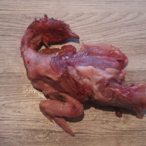 corps de cailles 1kg